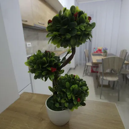 Apartament Langa Promenada