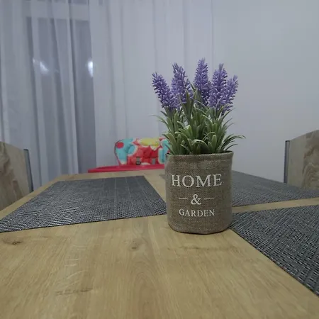 公寓 Apartament Langa Promenada 马马亚